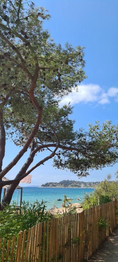 Le Tamaya Plage Charmant T2 En Rez De Jardin A 2 Pas D Une Belle Plage De Toutes Commodites Et Centre Ville Port Cavalaire-sur-Mer Exterior photo